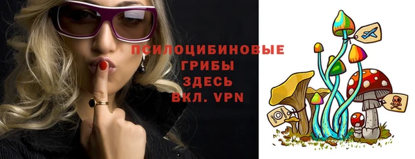стаф Тында