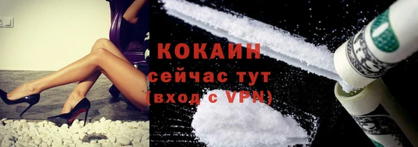 стаф Тында
