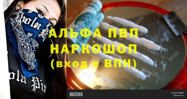 стаф Тында