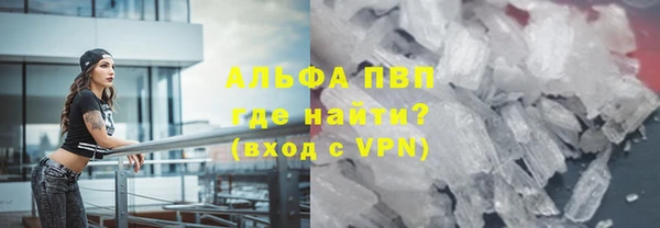 стаф Тында