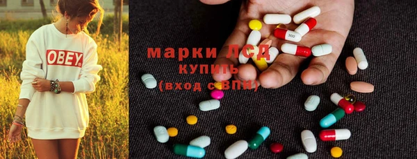 стаф Тында