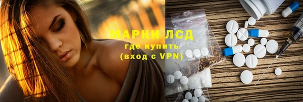стаф Тында