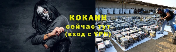стаф Тында