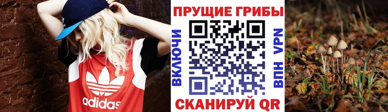 Псилоцибиновые грибы GOLDEN TEACHER  darknet состав  Ак-Довурак 